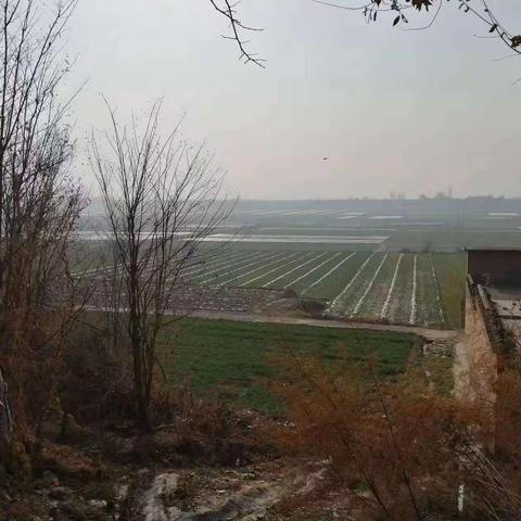 李野村抓党建促基层能力提升