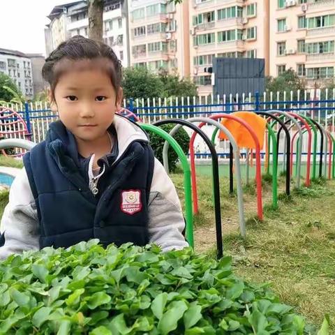 明花幼儿园果果二班——💕郑依然小朋友💕个人美篇