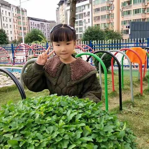 明花幼儿园果果二班——💕苗雯婷小朋友💕个人美篇