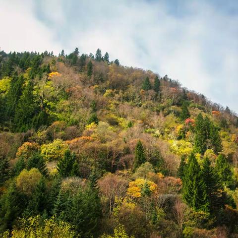 千里川西寻秋记