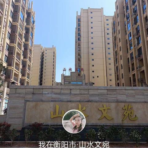 山水文苑的的进度，来看看吧