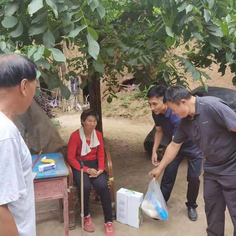 心系群众办实事，为民服务正当时——洛宁县医疗保障局开展端午节前慰问活动