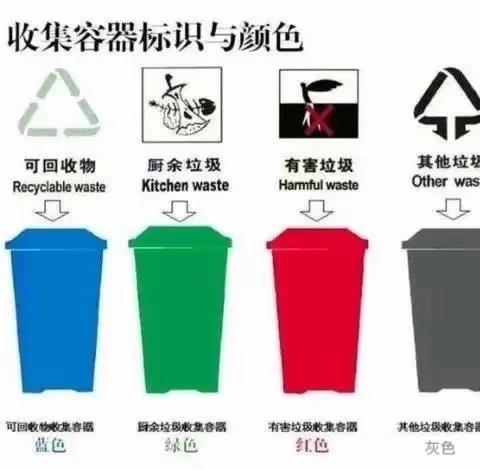垃圾要回家，请您帮助它