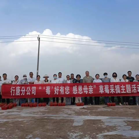 行唐分公司开展“‘莓’好有您 感恩母亲”草莓采摘活动
