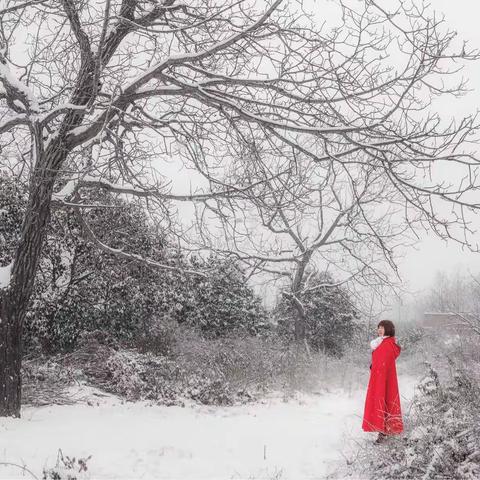 秦岭踏雪寻快乐！