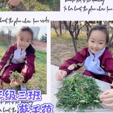 赏春光  挖野菜——耀华小学一三班劳动实践活动