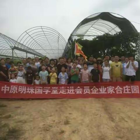 《阳光书院》夏令营月聚家合葡萄园