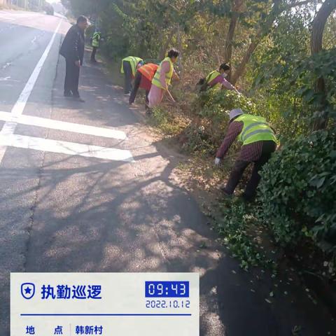 唐王中路，荷花路，唐王鱼场路，老陈路，两侧球类修剪，清理杂草落叶，修剪枯枝