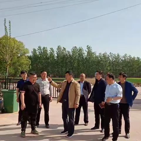 县委常委，办公室主任魏志凌到野胡拐、沙口集等地调研