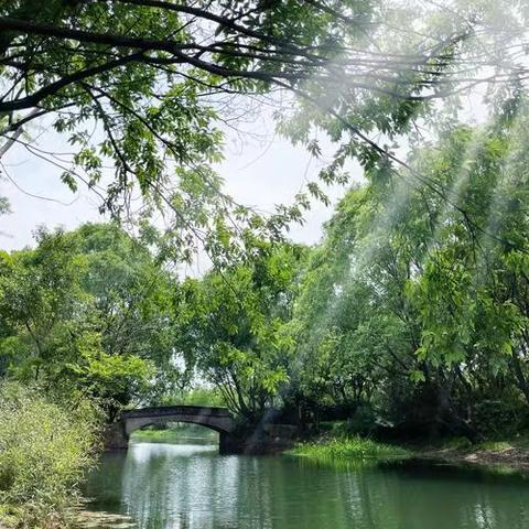 新春序曲