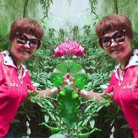 西湖美，荷花美，杭州更美。