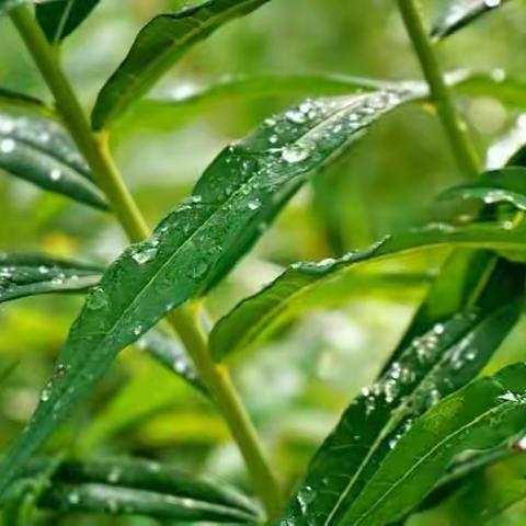 呼伦贝尔多彩草原户外俱乐部