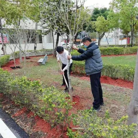 风拂面好时节  植树绿校园——宁中中学开展义务植树活动