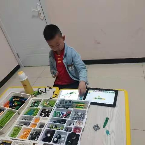 Wedo2.0《蛇》