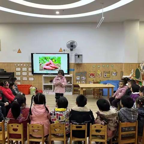 贝塔幼儿园小二班班本课程《与梨相会》