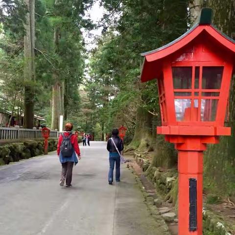 毛宁和林京华箱根行之二