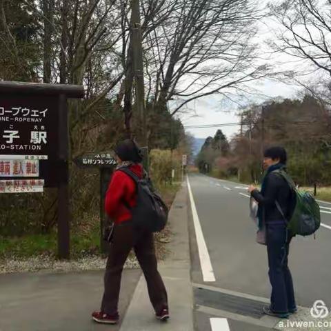 毛宁和林京华箱根行之一