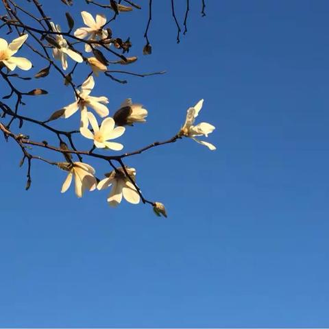 亲爱的三月，请进