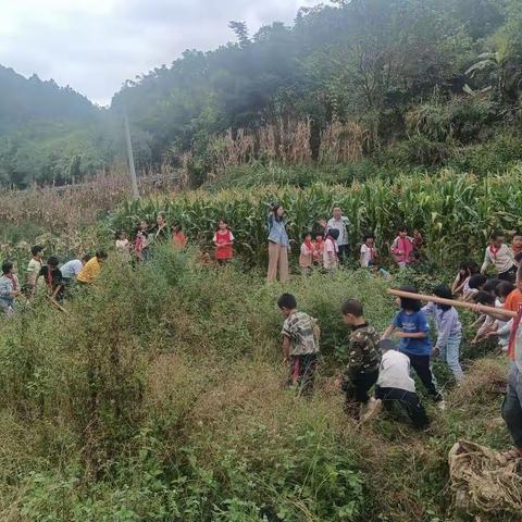 劳动最光荣—我劳动，我快乐，汤谷民族小学在行动！