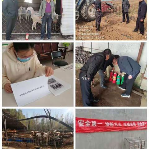 农业农村局以八项工作为抓手 稳扎稳打开展“除三气，增三劲”行动