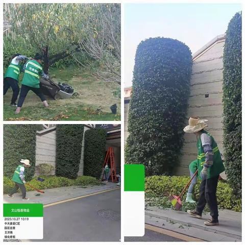 中天原著本周工作汇报