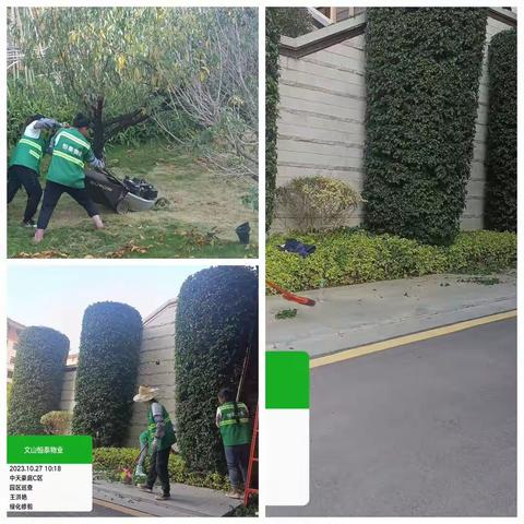 【恒泰物业】中天原著本周服务工作日常