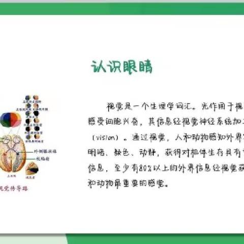 “预防近视，给眼睛多一点爱”—2103班