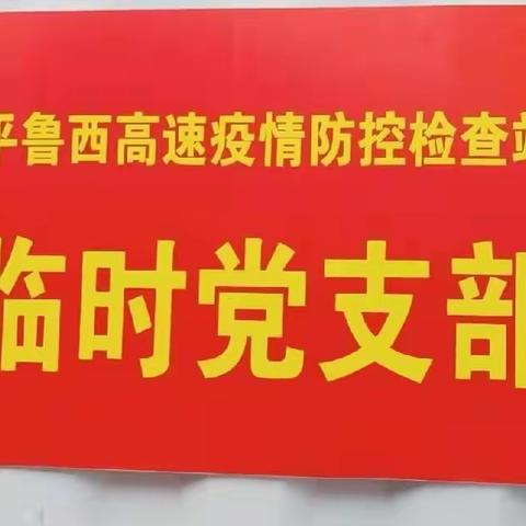 让党旗高高飘在疫情防控第一线——井坪镇疫情防控临时党支部活动纪实