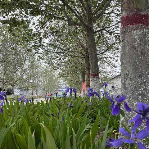 奉献自我 筑梦威远