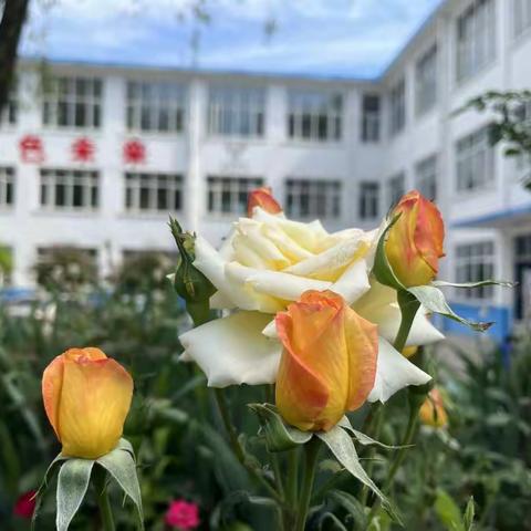 平凡才是人生的底色