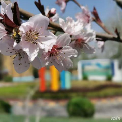 竞赛时讯——恪尽职守 绽放光彩