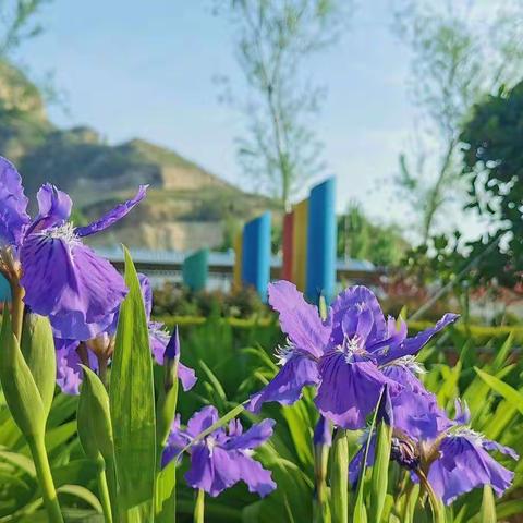 燃烧青春                      奋斗正当时