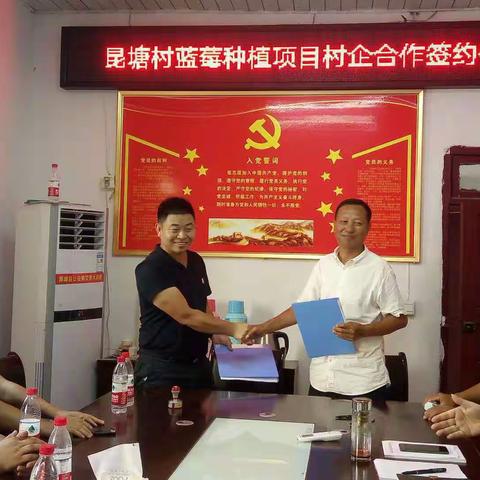 发展蓝莓产业，助推乡村振兴