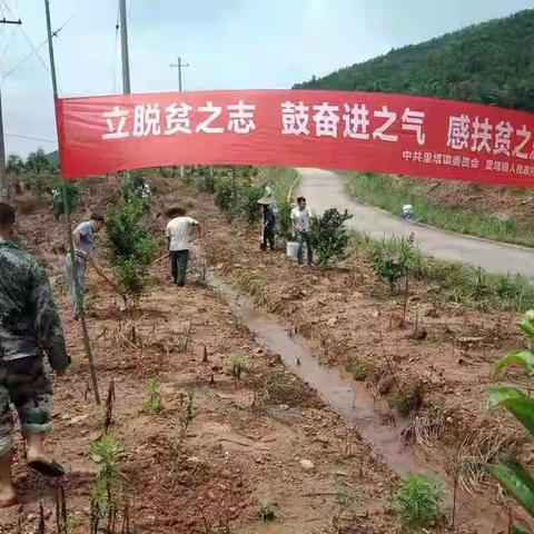 党员带头树新风 感恩奋进加油干