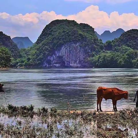 醉美桂林山水（透过手机看世界，小手机大视野）