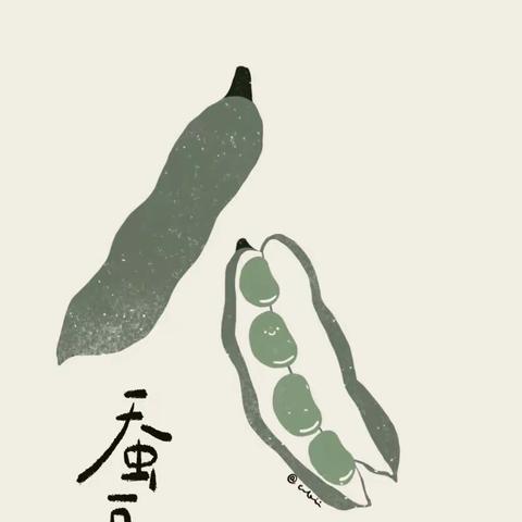 中四班种植课程——《和蚕豆一起交个朋友》