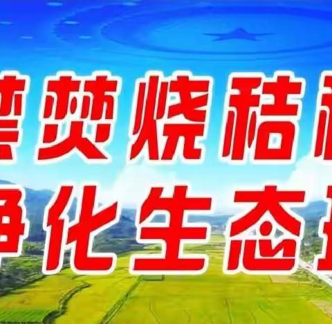 【新时代文明实践所】卧牛河镇多措并举开展秸秆禁烧科普宣传志愿服务活动