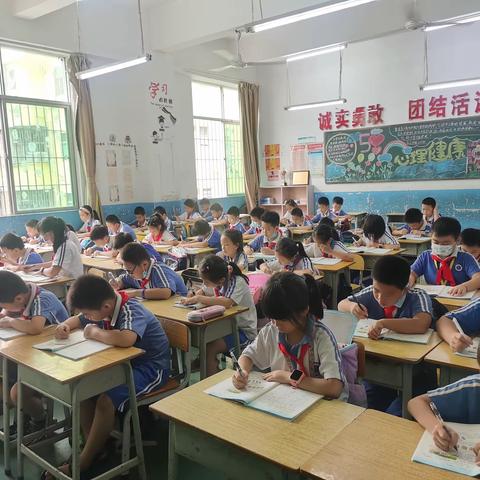 让我们一起走进306班的日常吧