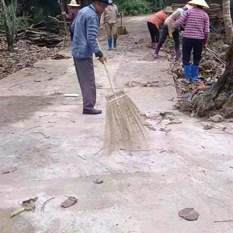 蒌根村委会人居环境整治