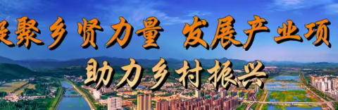 【槐新街道】国庆节致在外乡贤的一封信