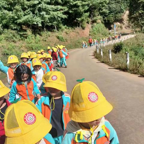 欣宇幼儿园“乐在深秋，童心同行”秋游主题活动
