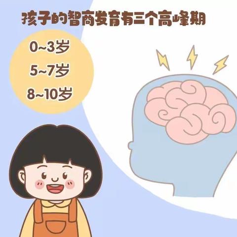 【不输家庭教育38卷】——《孩子的大脑发育有三次高峰期》