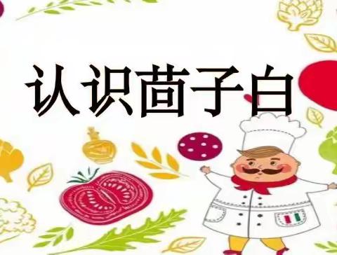 与“食”俱进，“育”教于乐——君悦湾幼儿园食育课程《认识茴子白》