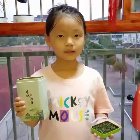 丁凡莉的假期实践活动