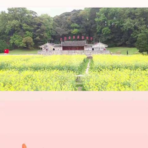 丁凡莉的暑假生活