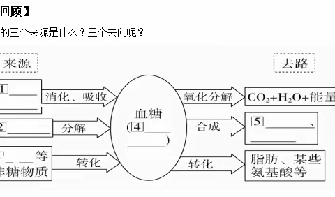 创设有效的情境是一堂好课的开端——记陆佳楠老师公开课《通过激素的调节》》