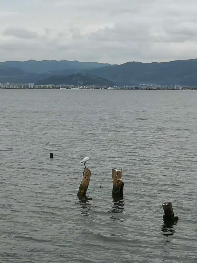 燕子的美篇2019年9月8日,兄弟姐妹们相聚在纳家营小海湿地公园,谢谢姚