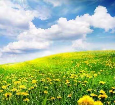 初心如磐        把爱的泉水轻轻泼洒 ---记伊宁市第二中学复课防控工作