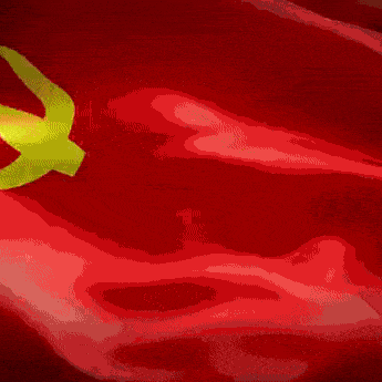 志愿服务暖人心