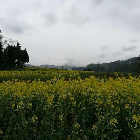 平昌五彩花都景观实景